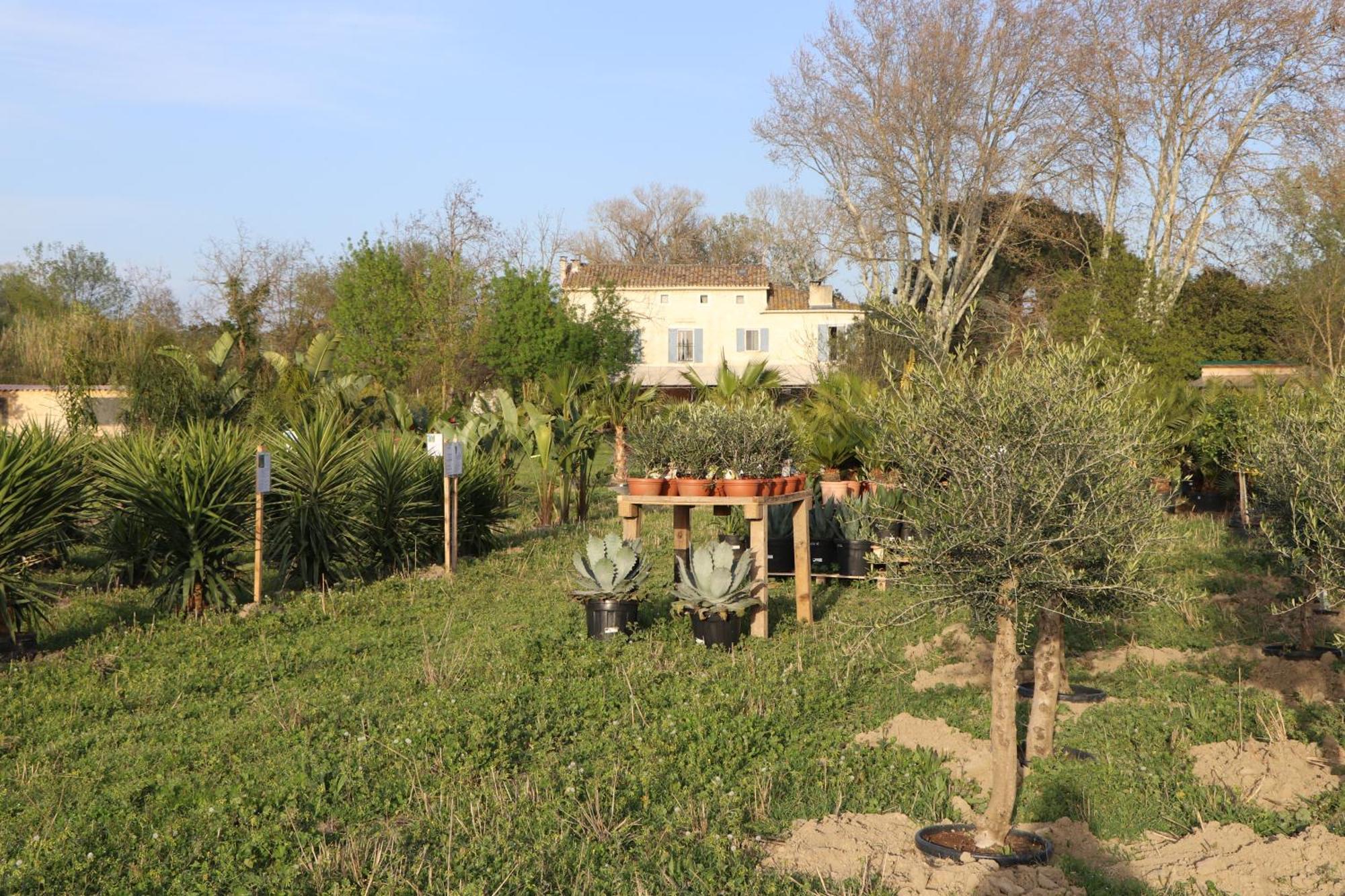 Mas Des Cerisiers Spa-Sauna Inclus Pour Tous Les Logements Avignon Luaran gambar